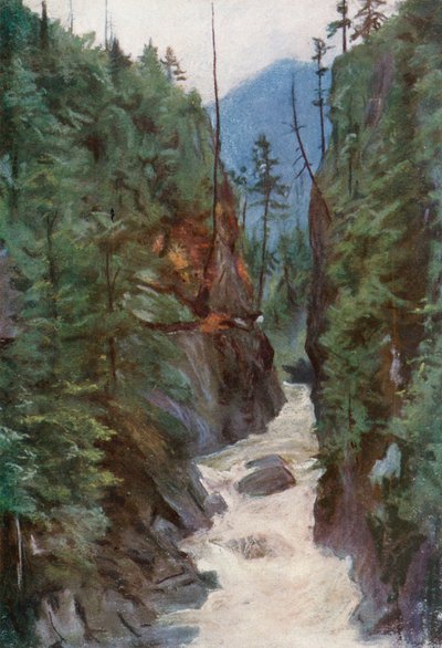 Kanion Capilano, niedaleko północnego Vancouver autorstwa Harold Copping