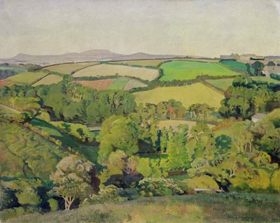 Drift Valley (olej na płótnie) autorstwa Harold Harvey