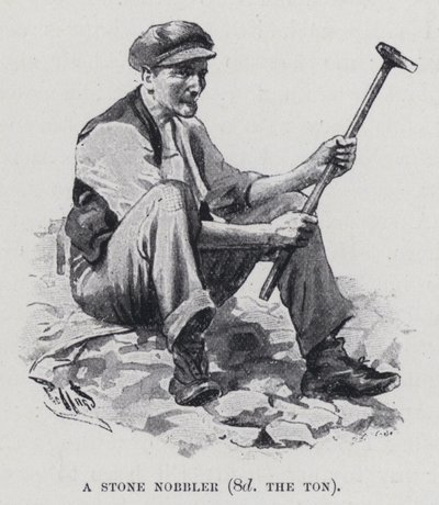Kamienny szlachcic, 8d tony (zdjęcie czarno-białe) autorstwa Harold Hume Piffard