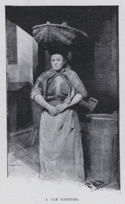 Brązowy przewoźnik (zdjęcie czarno-białe) autorstwa Harold Hume Piffard