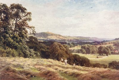 A Hayfield, Wonersh (kolorowa litografia) autorstwa Harold Sutton Palmer