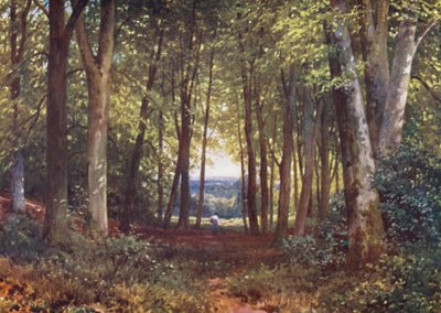 Deer-Leap Wood, Wotton (kolorowa litografia) autorstwa Harold Sutton Palmer