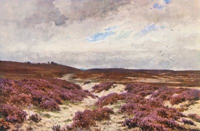 Frensham Common (litografia kolorowa) autorstwa Harold Sutton Palmer