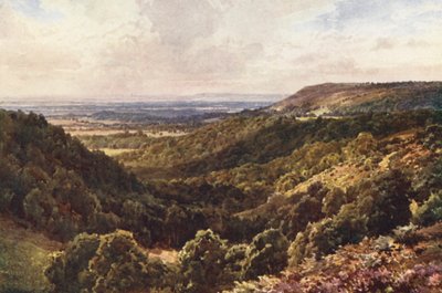 Ze wzgórz powyżej Peaslake, niedaleko Gomshall (kolorowa litografia) autorstwa Harold Sutton Palmer