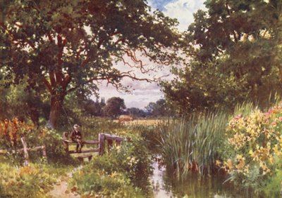 W pobliżu Chobham (druk kolorowy) autorstwa Harold Sutton Palmer
