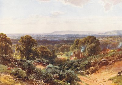 Sandhills, patrząc w kierunku Blackdown (kolorowa litografia) autorstwa Harold Sutton Palmer