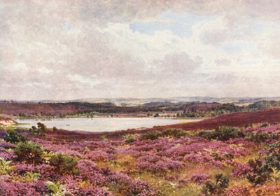 Wielki staw, Frensham (kolorowa litografia) autorstwa Harold Sutton Palmer