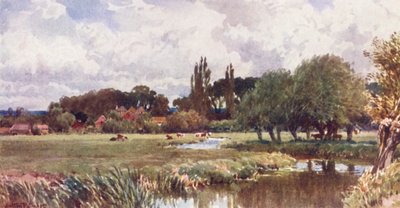 The Meads, Farnham (kolorowa litografia) autorstwa Harold Sutton Palmer