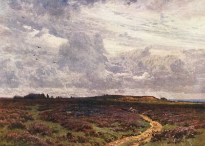 The Sandy Road, Milford Heath (kolorowa litografia) autorstwa Harold Sutton Palmer