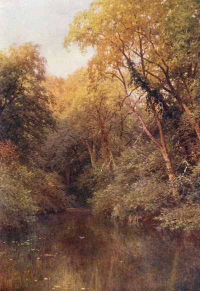 The Silent Pool, Albury (kolorowa litografia) autorstwa Harold Sutton Palmer
