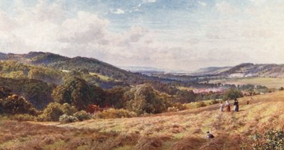 Vale of Dorking (kolorowa litografia) autorstwa Harold Sutton Palmer