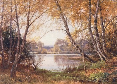 Krawędź stawu, Royal Common (kolorowa litografia) autorstwa Harold Sutton Palmer