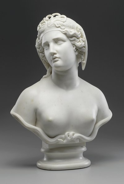 Meduza autorstwa Harriet Goodhue Hosmer