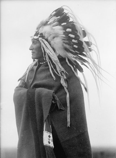 Leniwy chłopiec, wódz Indian autorstwa Harris & Ewing