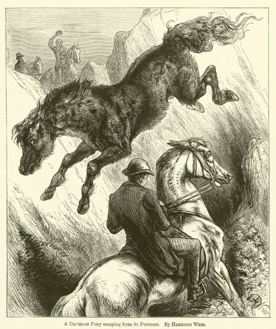 Kucyk Dartmoor uciekający swoim prześladowcom autorstwa Harrison William Weir