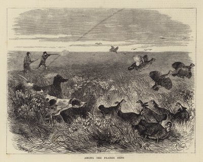 Wśród kur preriowych autorstwa Harrison William Weir