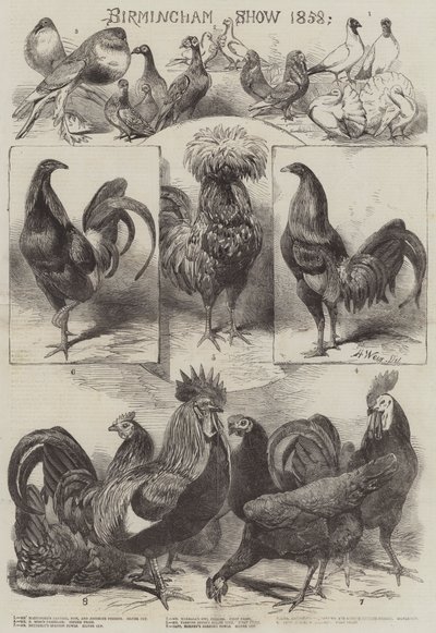Wystawa w Birmingham 1858 autorstwa Harrison William Weir