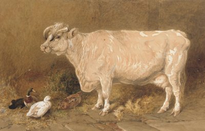 Krowa z kaczkami w stodole autorstwa Harrison William Weir