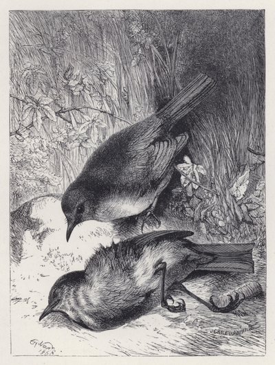 Śmierć kumpla Robina (grawerowanie) autorstwa Harrison William Weir
