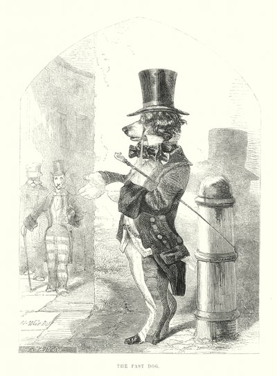 Zabawne psy: Szybki pies (grawerunek) autorstwa Harrison William Weir