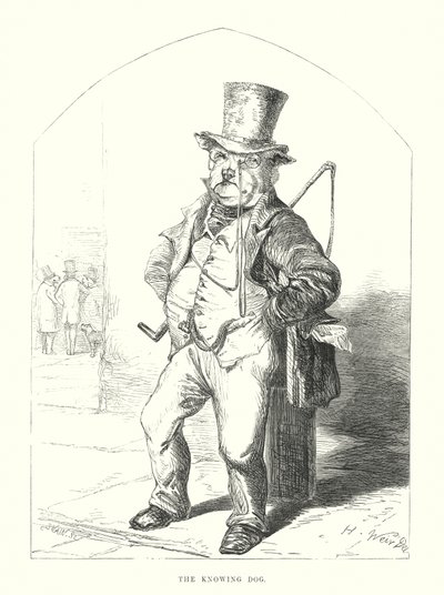 Zabawne psy: Wiedzący pies (grawerunek) autorstwa Harrison William Weir