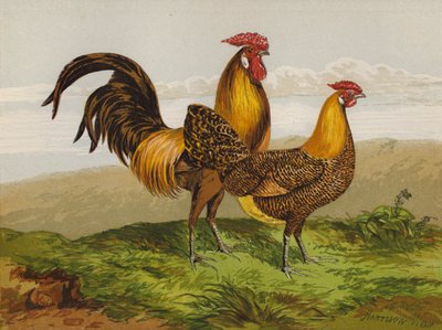 Hamburgery ze złotymi ołówkami (chromolitho) autorstwa Harrison William Weir