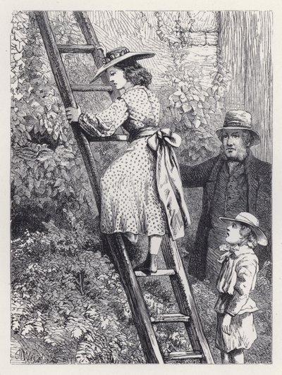 Harriet Peeps w gnieździe rudzików (rycina) autorstwa Harrison William Weir
