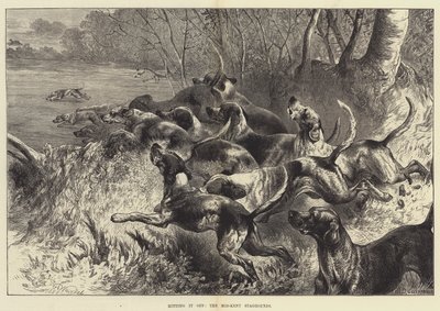 Uderzając, Mid-Kent Staghounds autorstwa Harrison William Weir