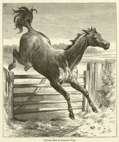 klacz myśliwska autorstwa Harrison William Weir