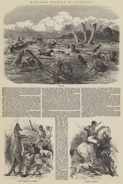 Polowanie na kangury w Australii autorstwa Harrison William Weir