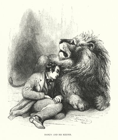 Lew i jego opiekun (rycina) autorstwa Harrison William Weir