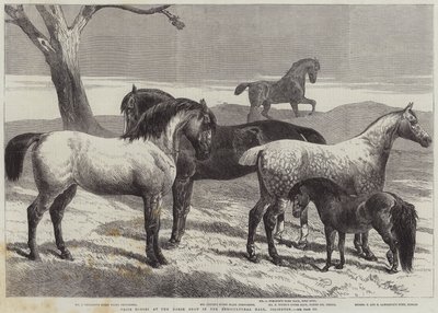Nagrodzone konie na wystawie koni w Agricultural Hall, Islington autorstwa Harrison William Weir