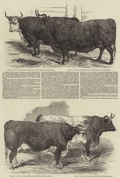 Doroczna Wystawa Klubu Smithfield autorstwa Harrison William Weir