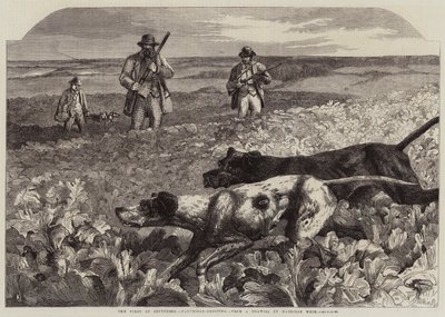 1 września, Strzelanie do kuropatw (rytowanie) autorstwa Harrison William Weir