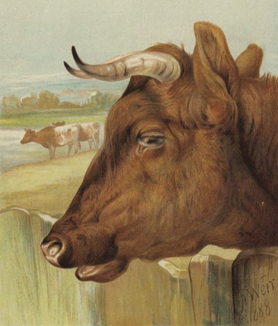 Przyjaciel żłobka (chromolitho) autorstwa Harrison William Weir