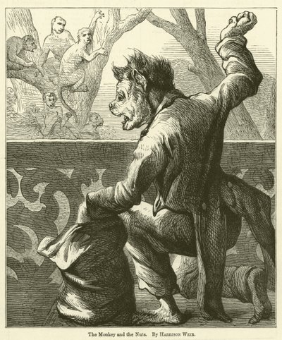 Małpa i Orzechy autorstwa Harrison William Weir