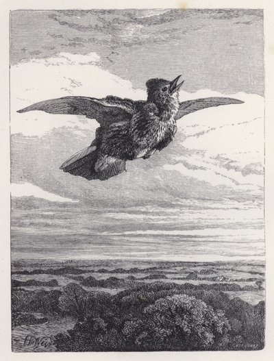 Pieśń Skowronka (rycina) autorstwa Harrison William Weir