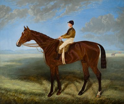 Salpinctes-koń wyścigowy, ok. 1814-82 (olej na płótnie) autorstwa Harry (after) Hall