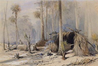 Cypress-Single Yard, Ocklawaha River, Floryda, 1870. autorstwa Harry Fenn