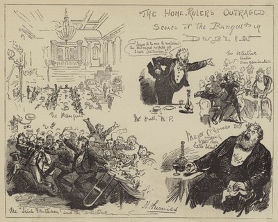 Władcy domowi oburzeni, sceny na bankiecie w Dublinie autorstwa Harry Furniss