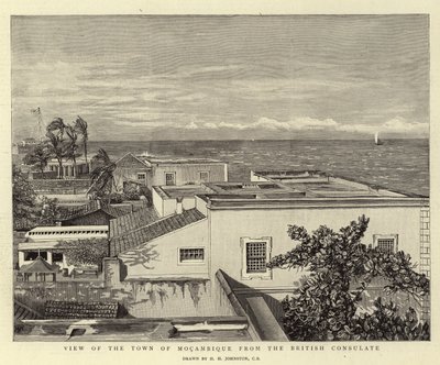Widok na miasto Mocambique z Konsulatu Brytyjskiego autorstwa Harry Hamilton Johnston