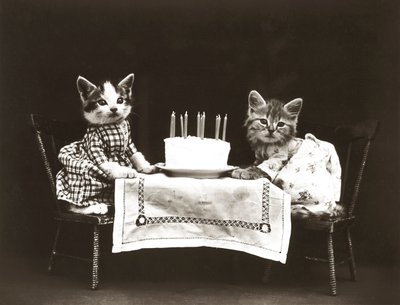 Seria Kociaki: Przyjęcie urodzinowe, ok. 1914 (srebrna odbitka) autorstwa Harry Whittier Frees