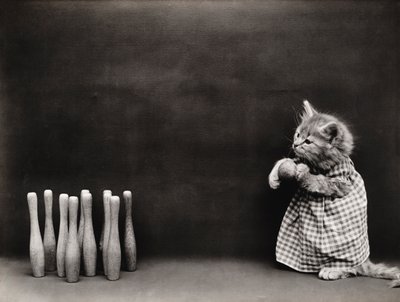 Seria Kitties: Kręgle, ok. 1914 (srebrna odbitka) autorstwa Harry Whittier Frees