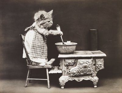 Seria Kociaki: Kucharz przy kuchence, ok. 1914 (srebrna odbitka) autorstwa Harry Whittier Frees