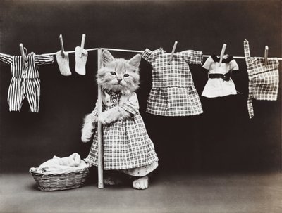 Seria Kitties: Suszenie prania, ok. 1914 (srebrna odbitka) autorstwa Harry Whittier Frees