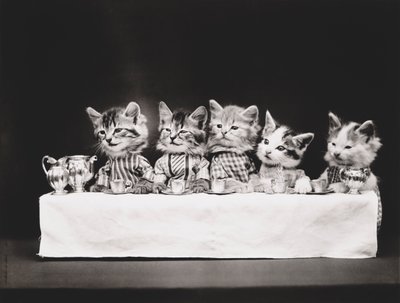 Seria Kitties: Ostatnia Wieczerza, ok. 1914 (srebrna odbitka) autorstwa Harry Whittier Frees