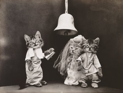 Seria Kociaki: Ślub, ok. 1914 r. (odbitka srebrna) autorstwa Harry Whittier Frees