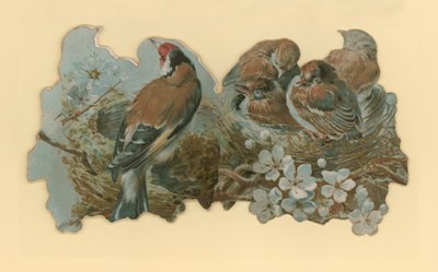 Ptaki autorstwa Hector Giacomelli