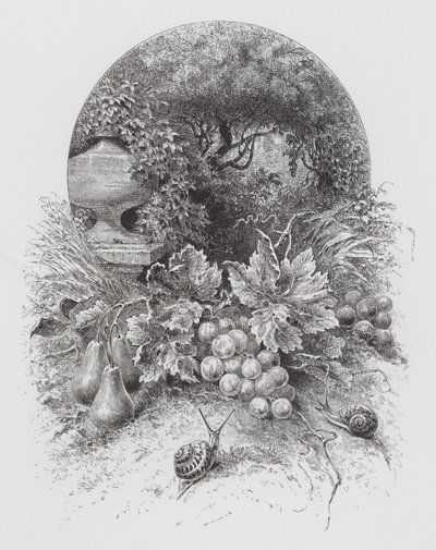 Owad: Ślimaki (grawerowanie) autorstwa Hector Giacomelli
