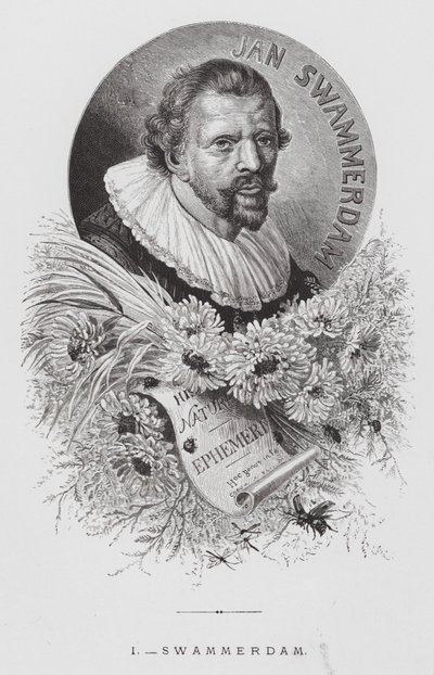 Owad: Swammerdam (rycina) autorstwa Hector Giacomelli